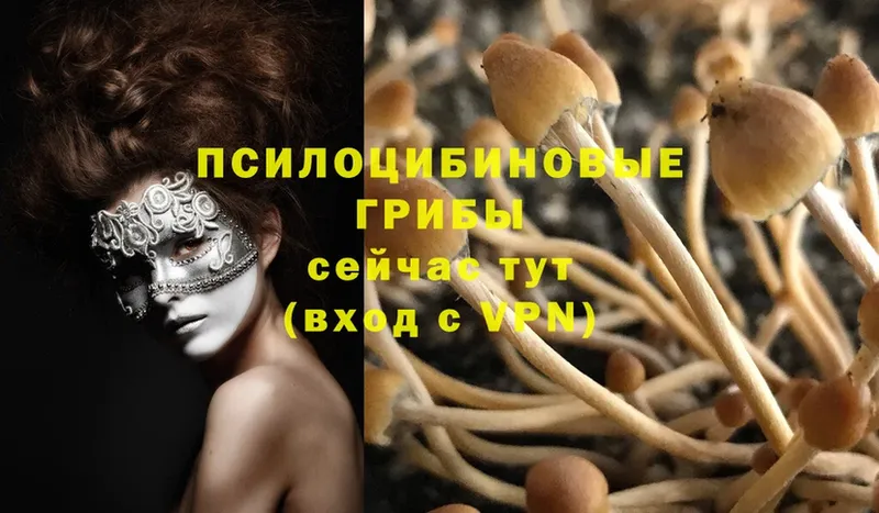 как найти закладки  Воткинск  Псилоцибиновые грибы Magic Shrooms 